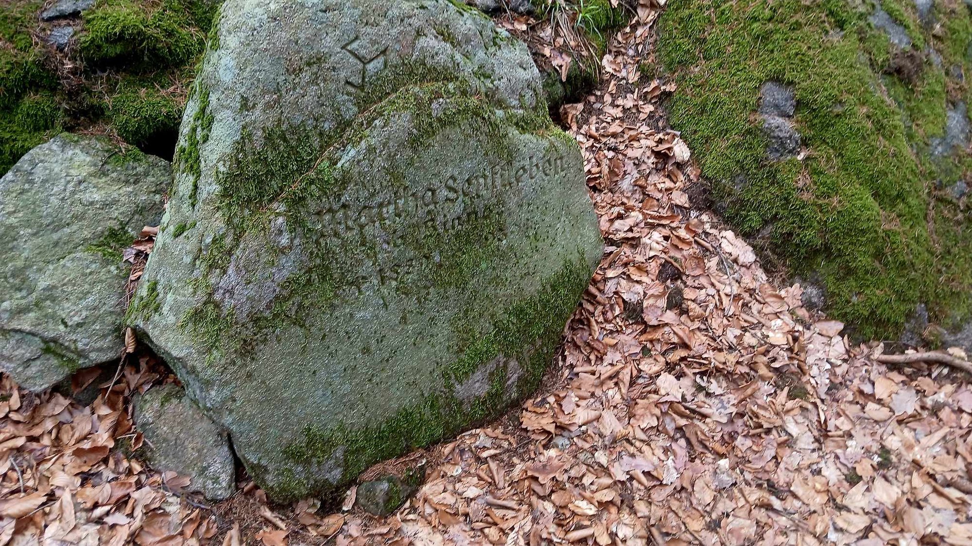 tu-grzebano-ofiary-zarazy-cmentarz-memento-w-piechowicach-132162