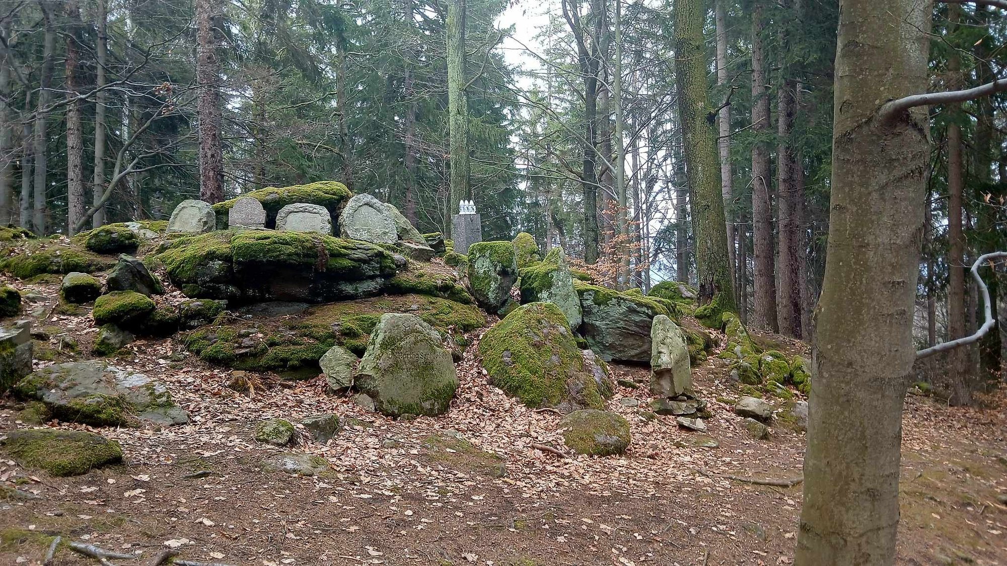 tu-grzebano-ofiary-zarazy-cmentarz-memento-w-piechowicach-132162