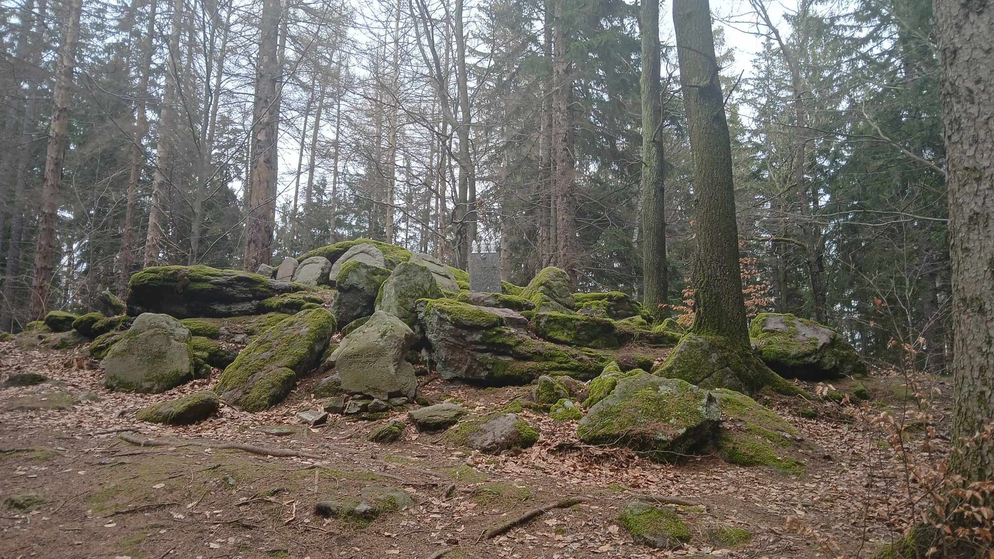 tu-grzebano-ofiary-zarazy-cmentarz-memento-w-piechowicach-132162