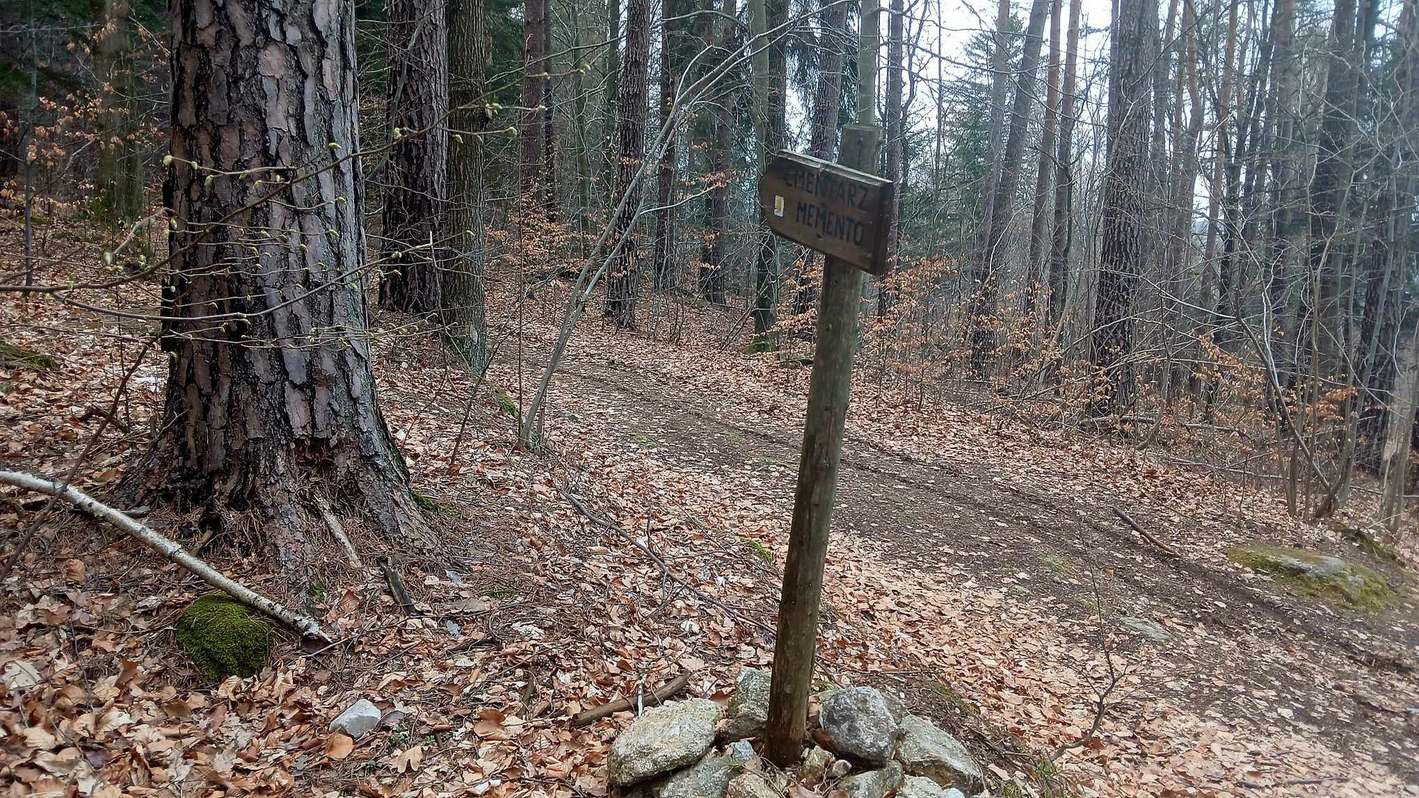 tu-grzebano-ofiary-zarazy-cmentarz-memento-w-piechowicach-132162