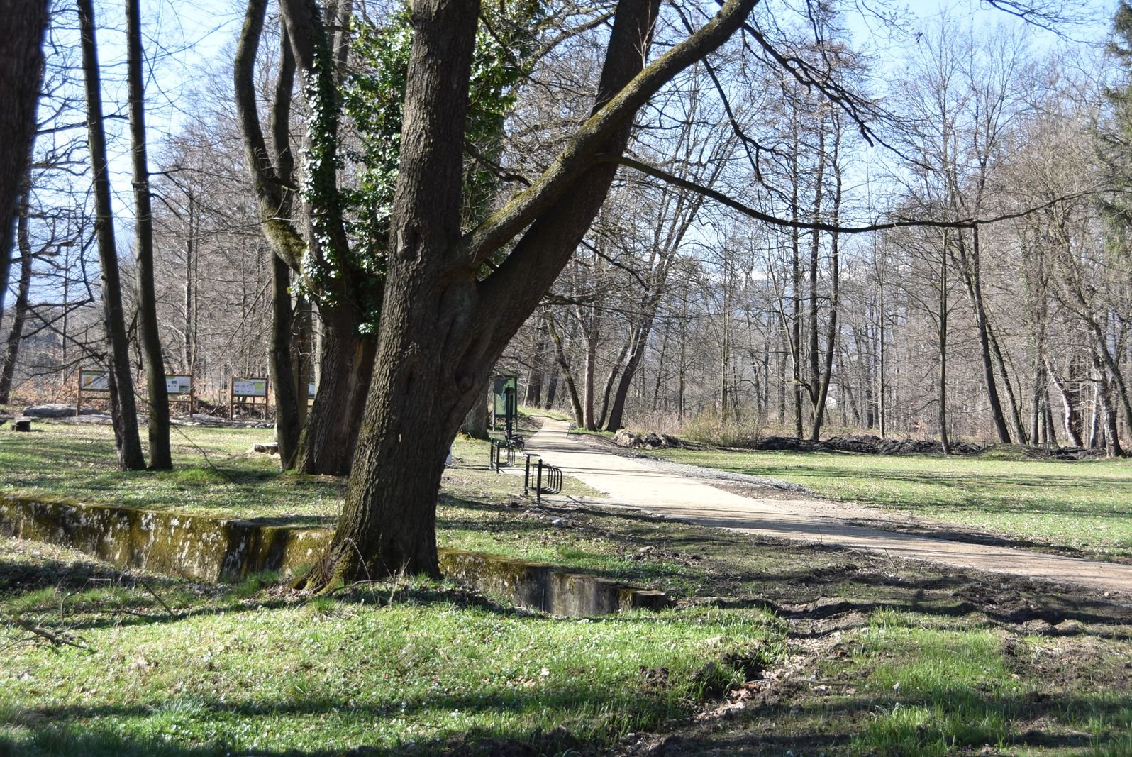 wypieknia-przypaacowy-park-132258