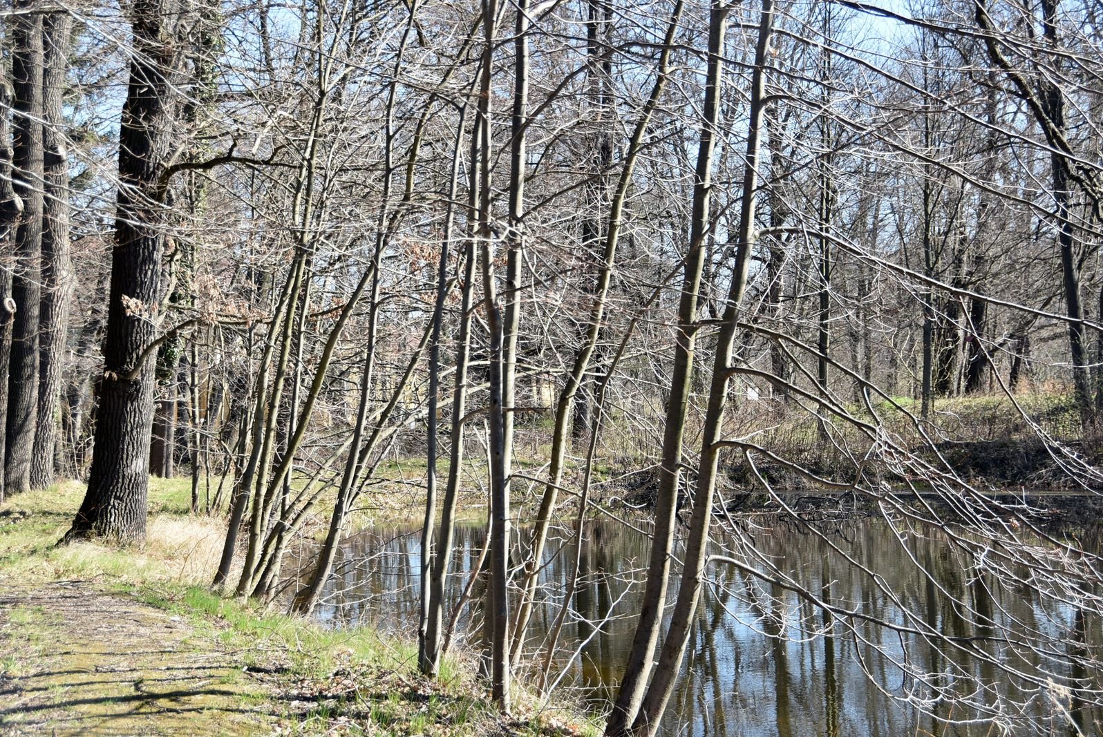 wypieknia-przypaacowy-park-132258