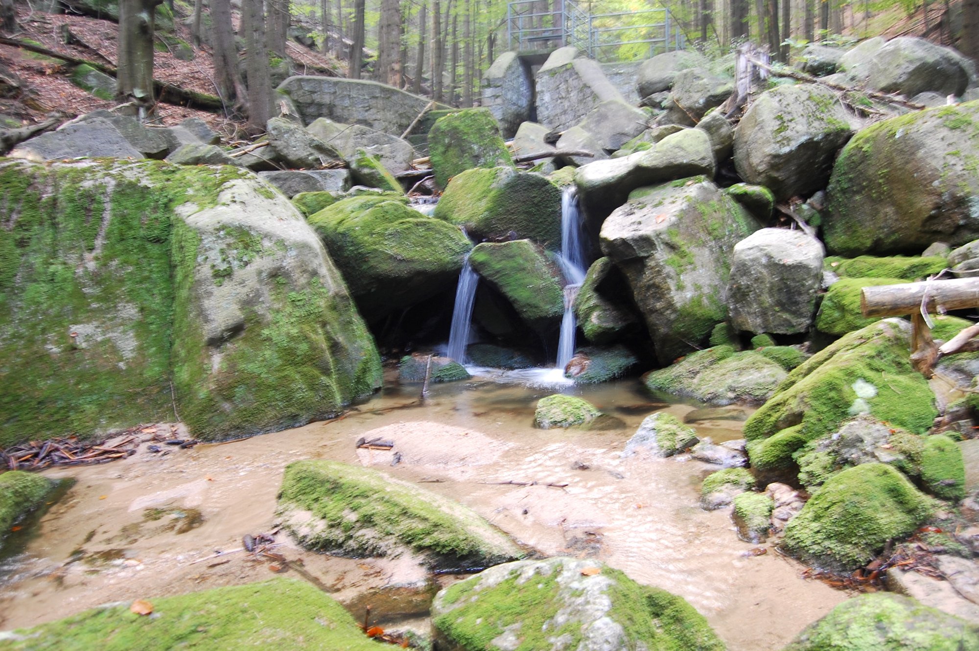 grabarow-i-sosnowka-bezpieczne-132311
