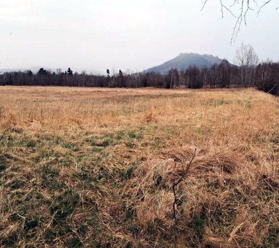 niepokoj-woko-planowanej-farmy-fotowoltaicznej-132414