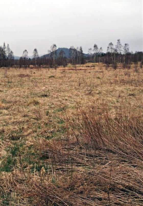 niepokoj-woko-planowanej-farmy-fotowoltaicznej-132414