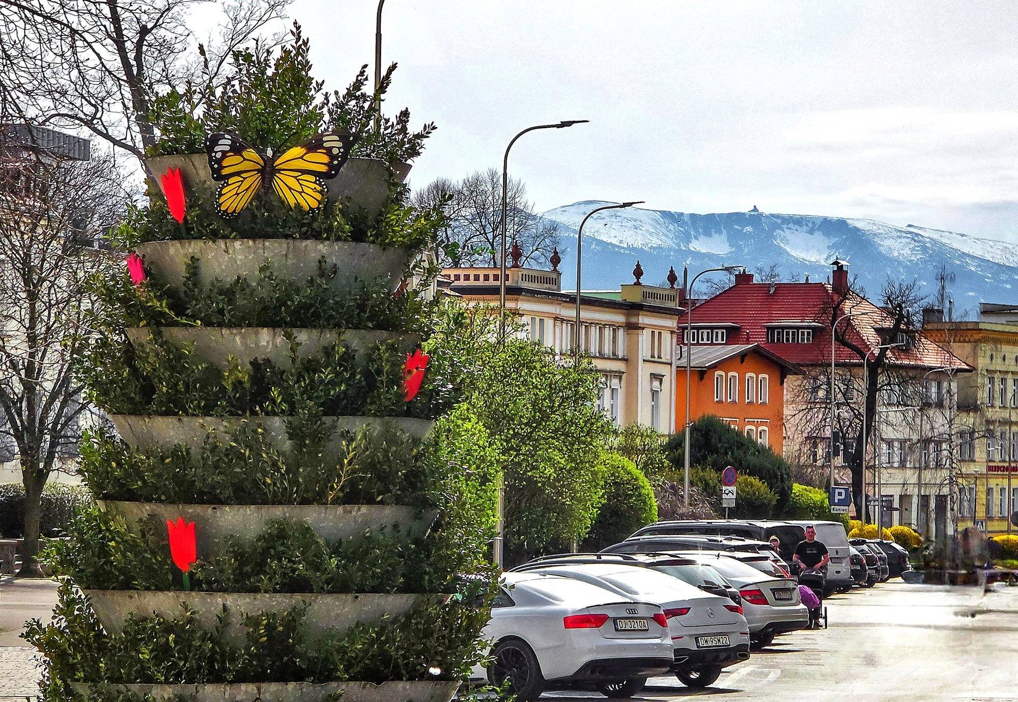 swiateczna-jelenia-gora-132467