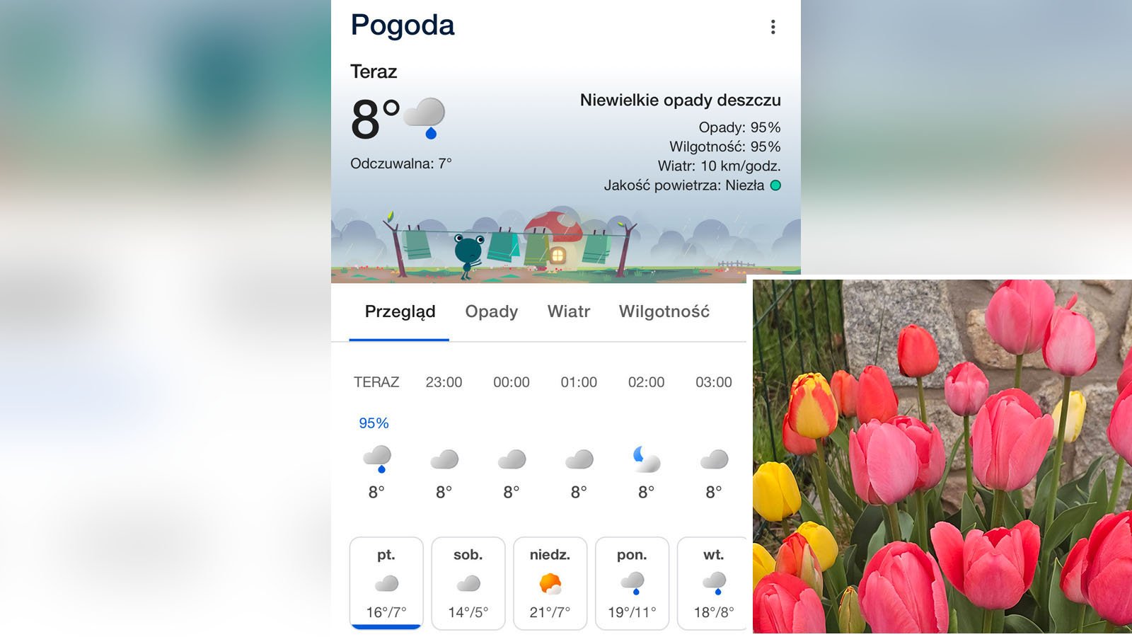 pogoda-na-swieta-w-kratke-132510