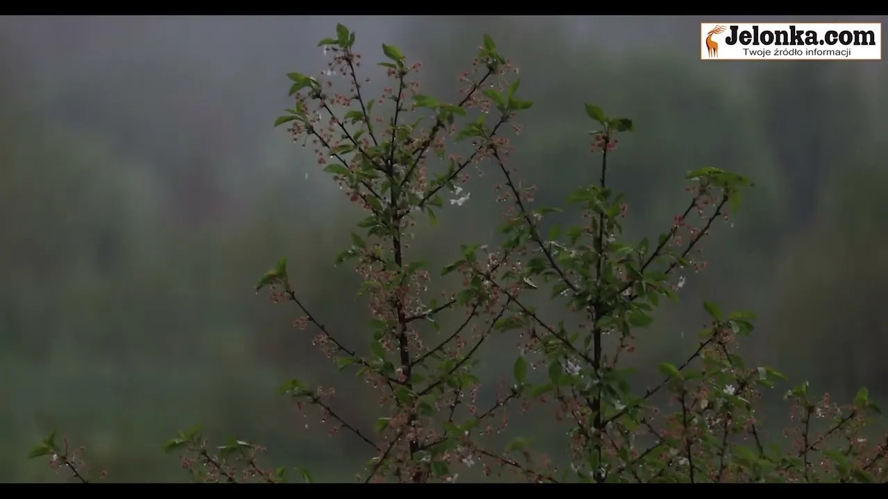 oberwanie-chmury-132818