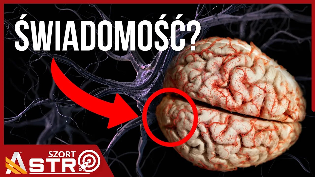 natrafiono-na-slad-swiadomosci-w-mozgu-133062