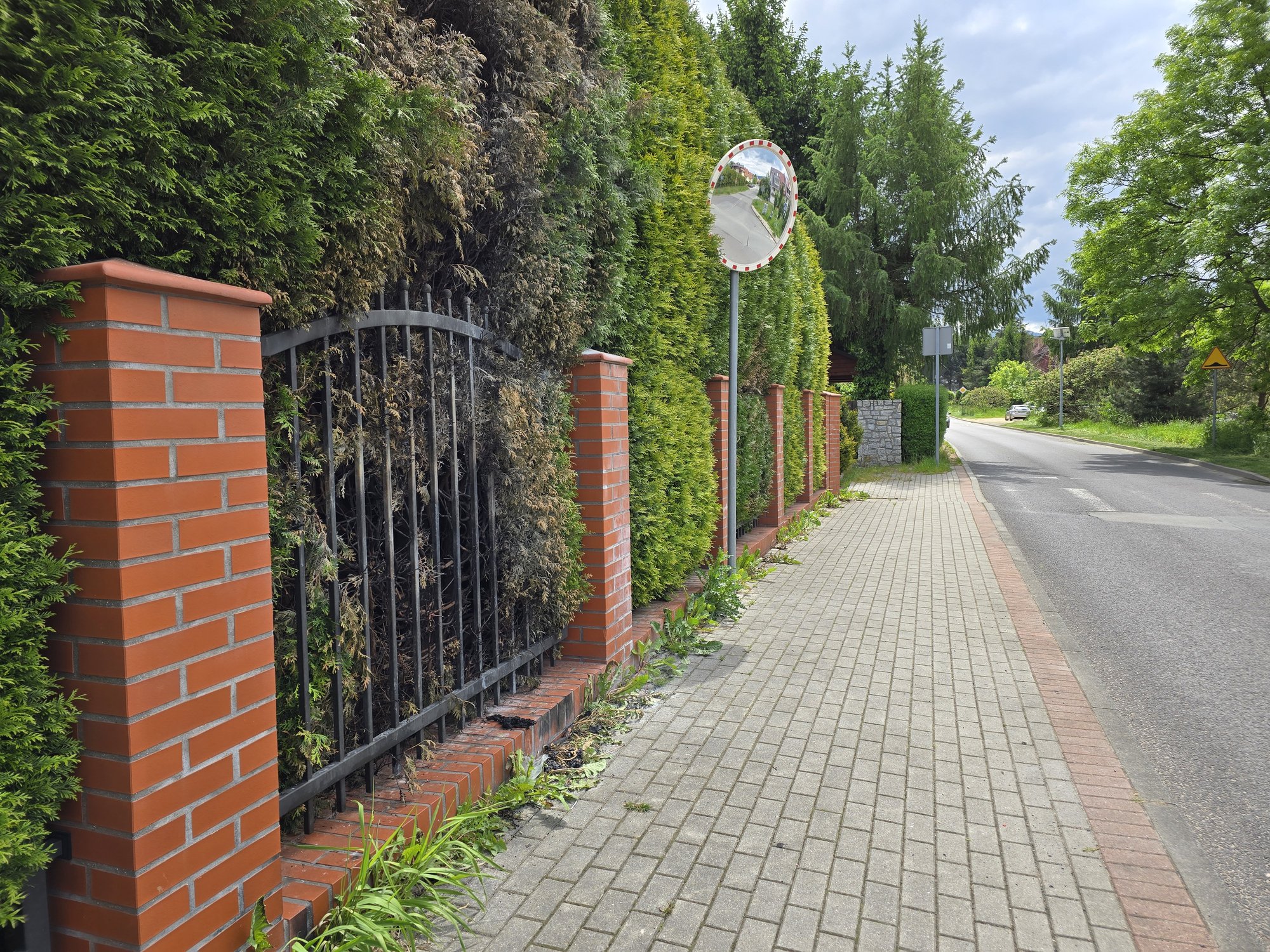 kto-spali-banery-w-cieplicach-133346