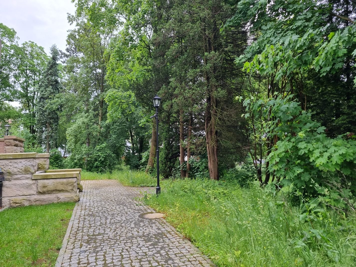 park-przy-zameczku-doczeka-sie-rewitalizacji-133474