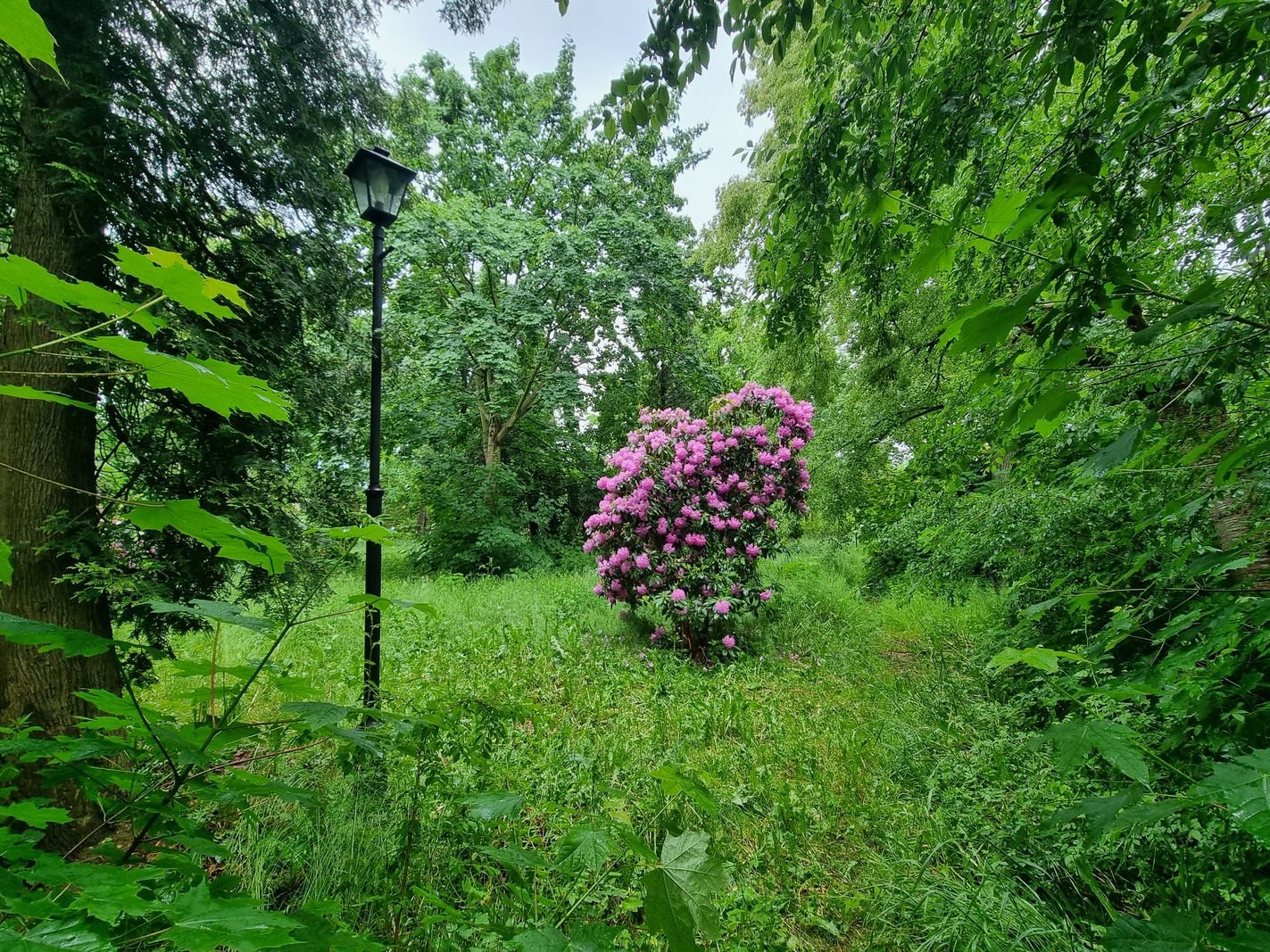 park-przy-zameczku-doczeka-sie-rewitalizacji-133474