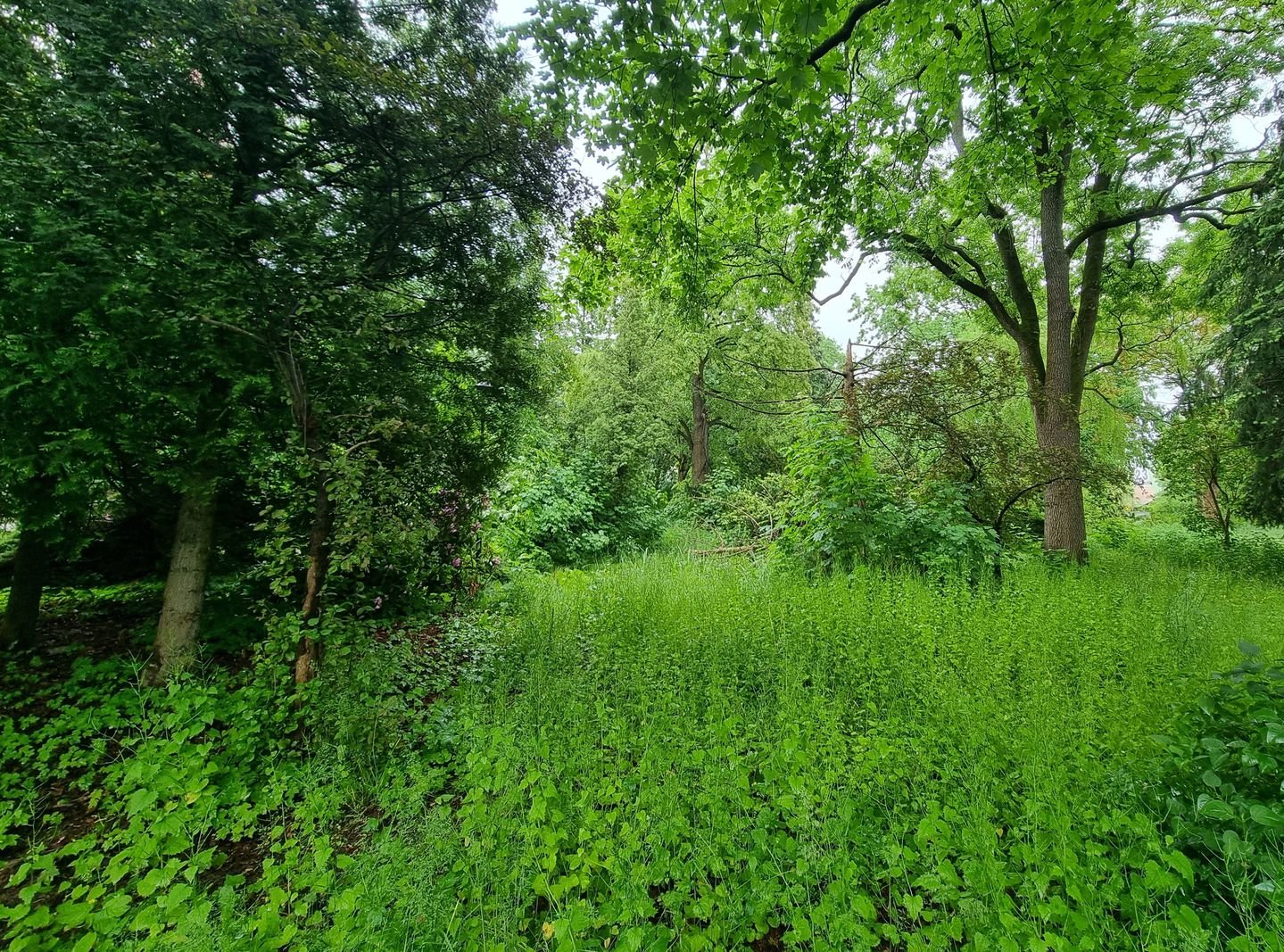 park-przy-zameczku-doczeka-sie-rewitalizacji-133474