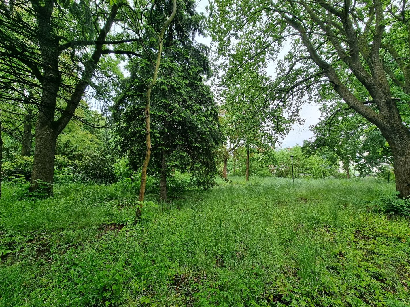 park-przy-zameczku-doczeka-sie-rewitalizacji-133474