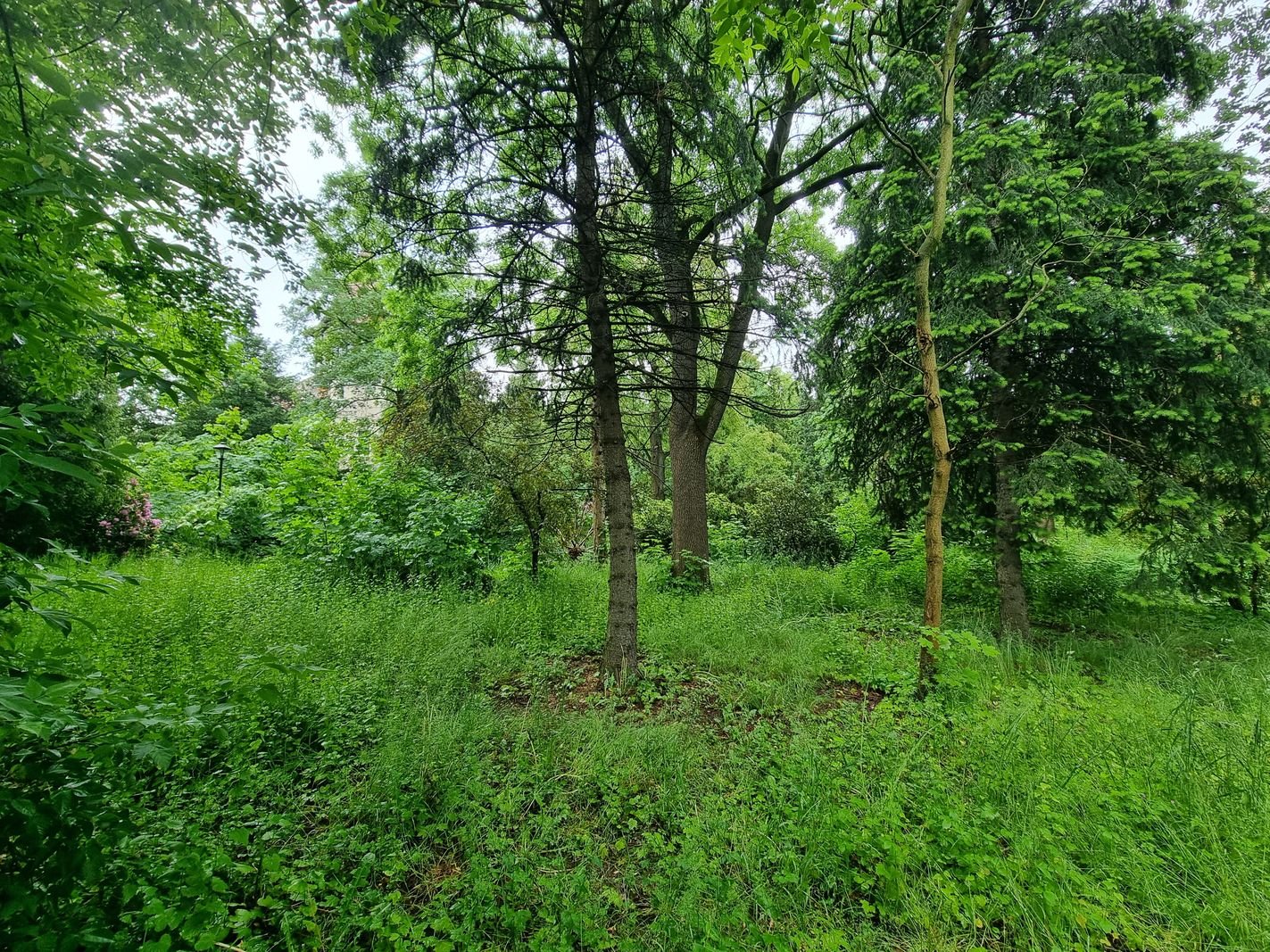 park-przy-zameczku-doczeka-sie-rewitalizacji-133474