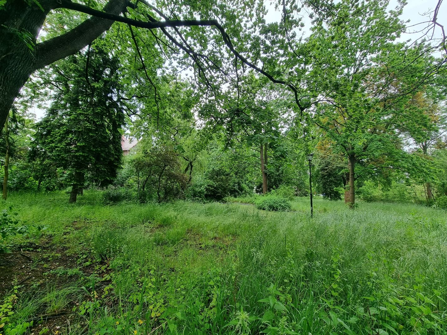 park-przy-zameczku-doczeka-sie-rewitalizacji-133474