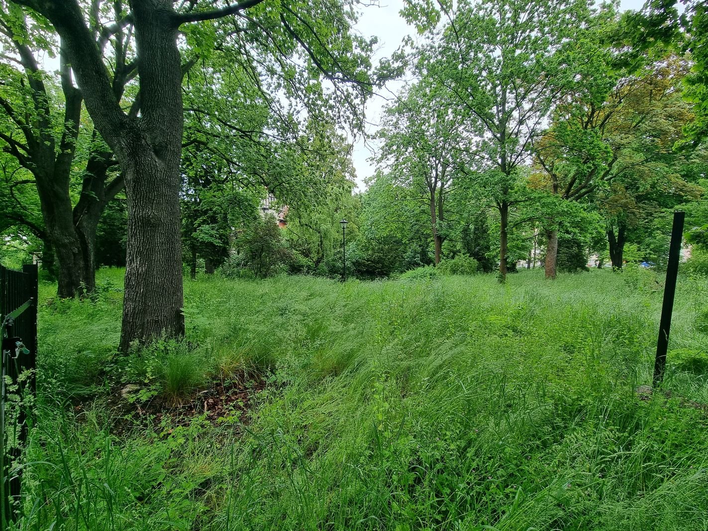 park-przy-zameczku-doczeka-sie-rewitalizacji-133474