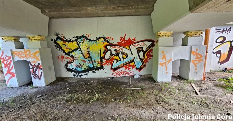 zatrzymany-za-graffiti-i-atak-na-strazniczki-133573