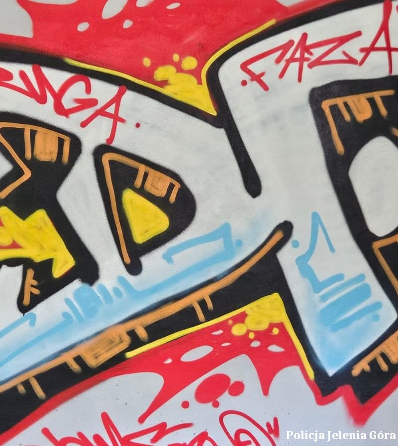 zatrzymany-za-graffiti-i-atak-na-strazniczki-133573