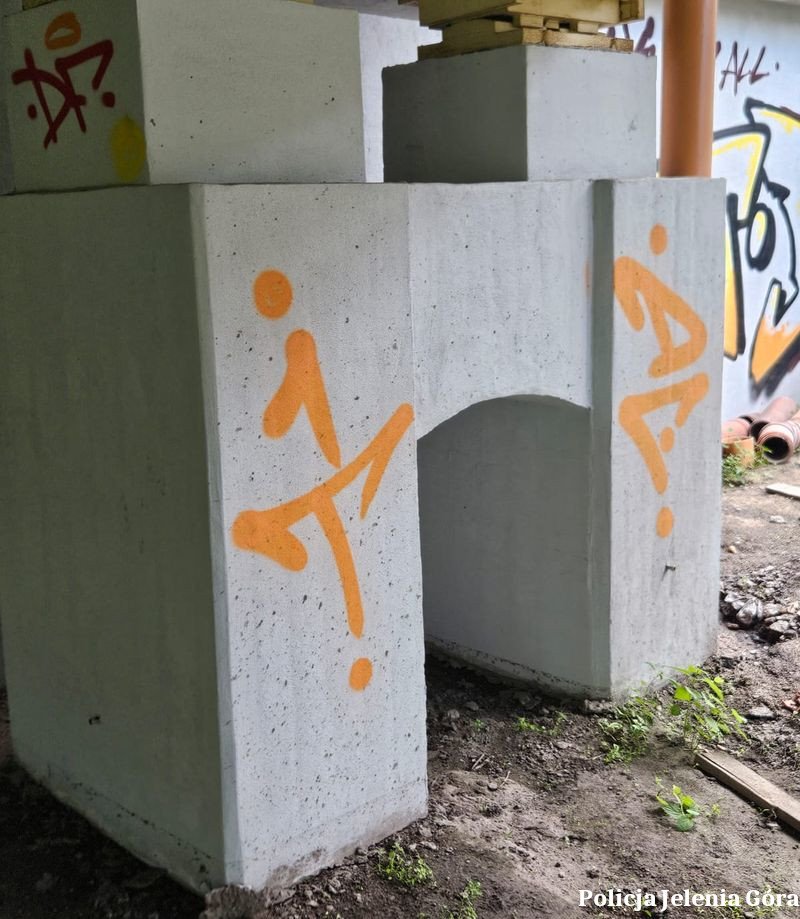 zatrzymany-za-graffiti-i-atak-na-strazniczki-133573