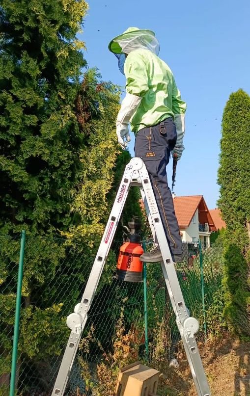 bezpieczne-zakonczenie-pszczelego-alarmu-133728