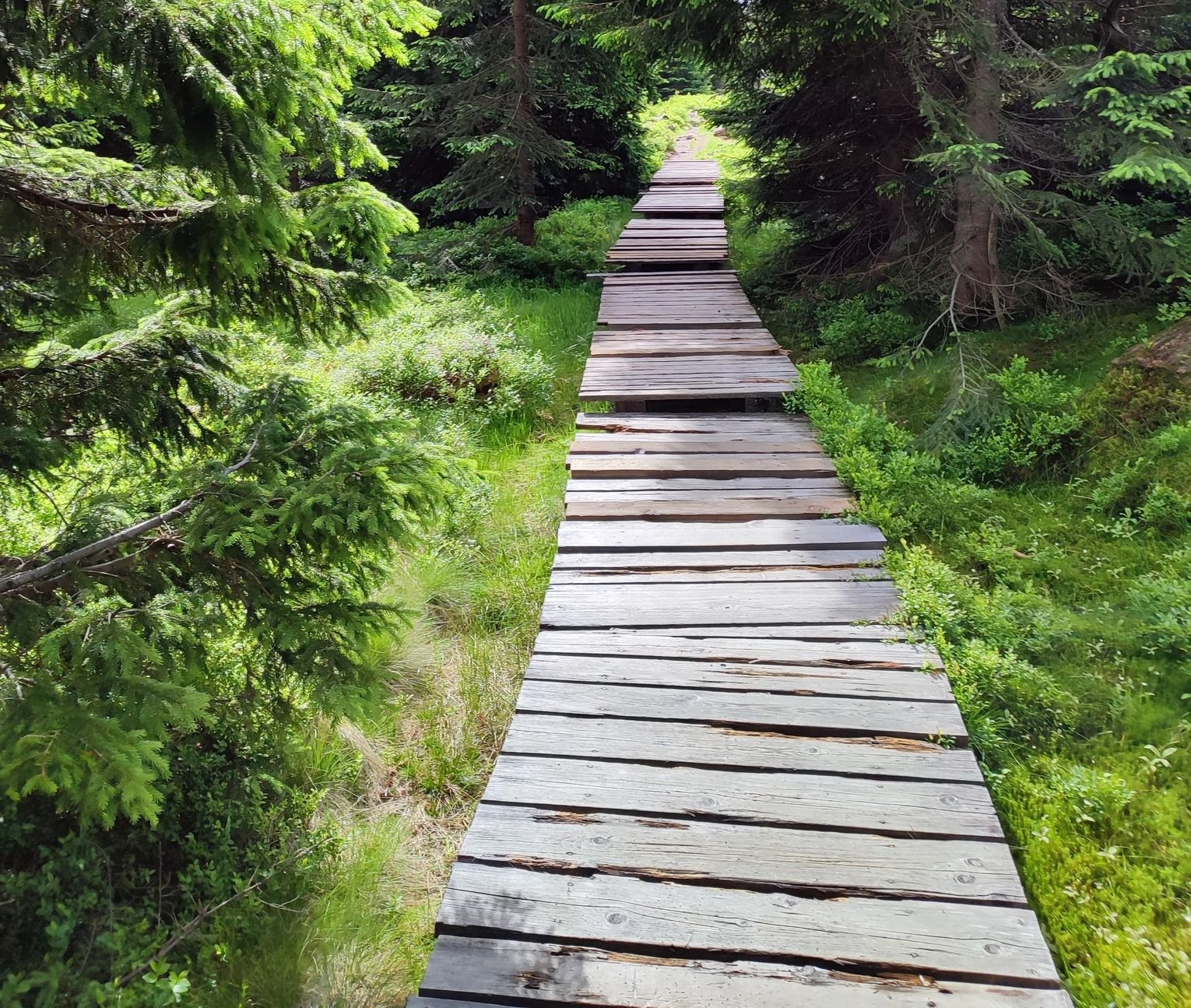 karkonoski-park-narodowy-odnowi-szlaki-133840