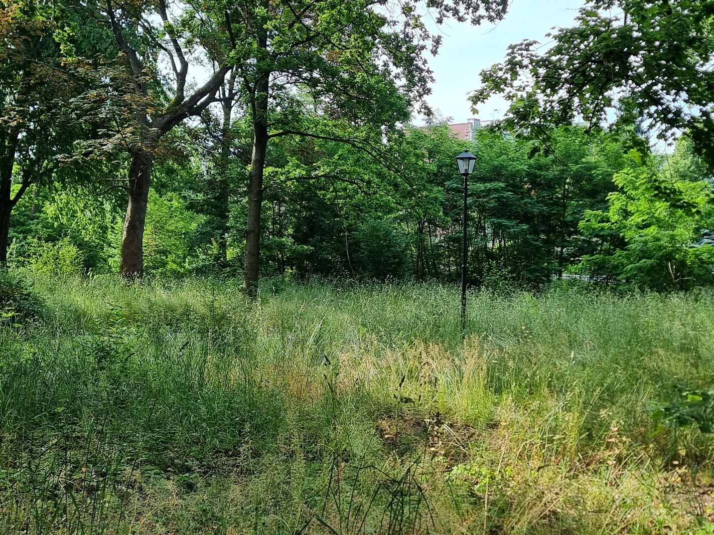 po-remoncie-zameczku-czas-na-park-133938