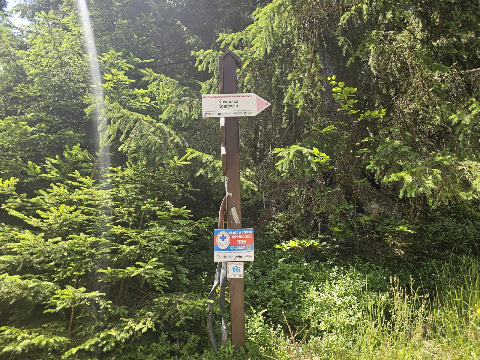 wspolna-modlitwa-ponad-granicami-pielgrzymka-z-karpacza-i-kowar-do-maej-upy-134024