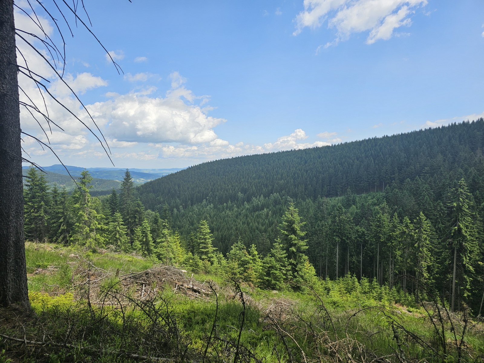 wspolna-modlitwa-ponad-granicami-pielgrzymka-z-karpacza-i-kowar-do-maej-upy-134024