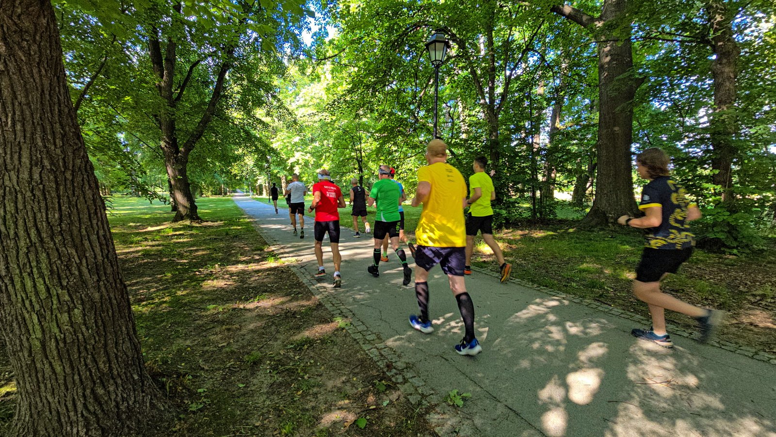 10-urodziny-parkrun-jelenia-gora-134124