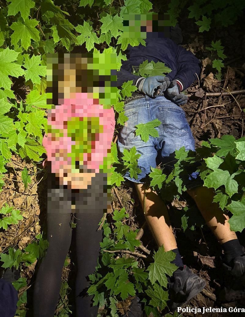 policjanci-z-komisariatu-ii-policji-w-jeleniej-gorze-zatrzymali-pare-podejrzana-o-usiowanie-kradziezy-z-wamaniem-134148