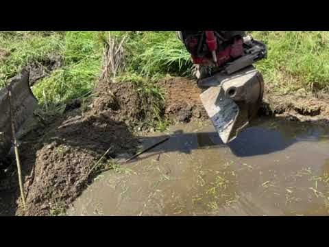 czyszcza-radomierke-134202
