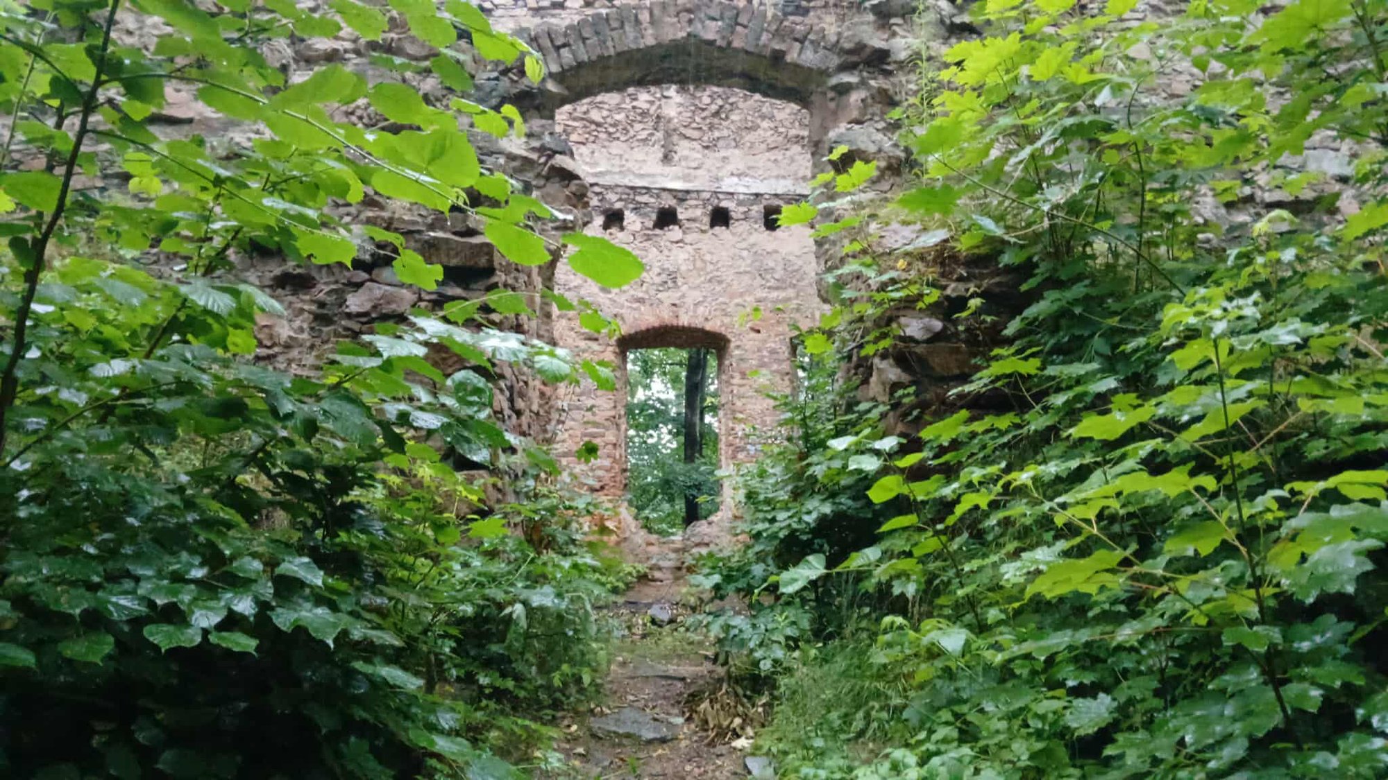 miejsce-schadzek-na-skraju-miasta-wzgorze-radziwiowny-w-kowarach-134266