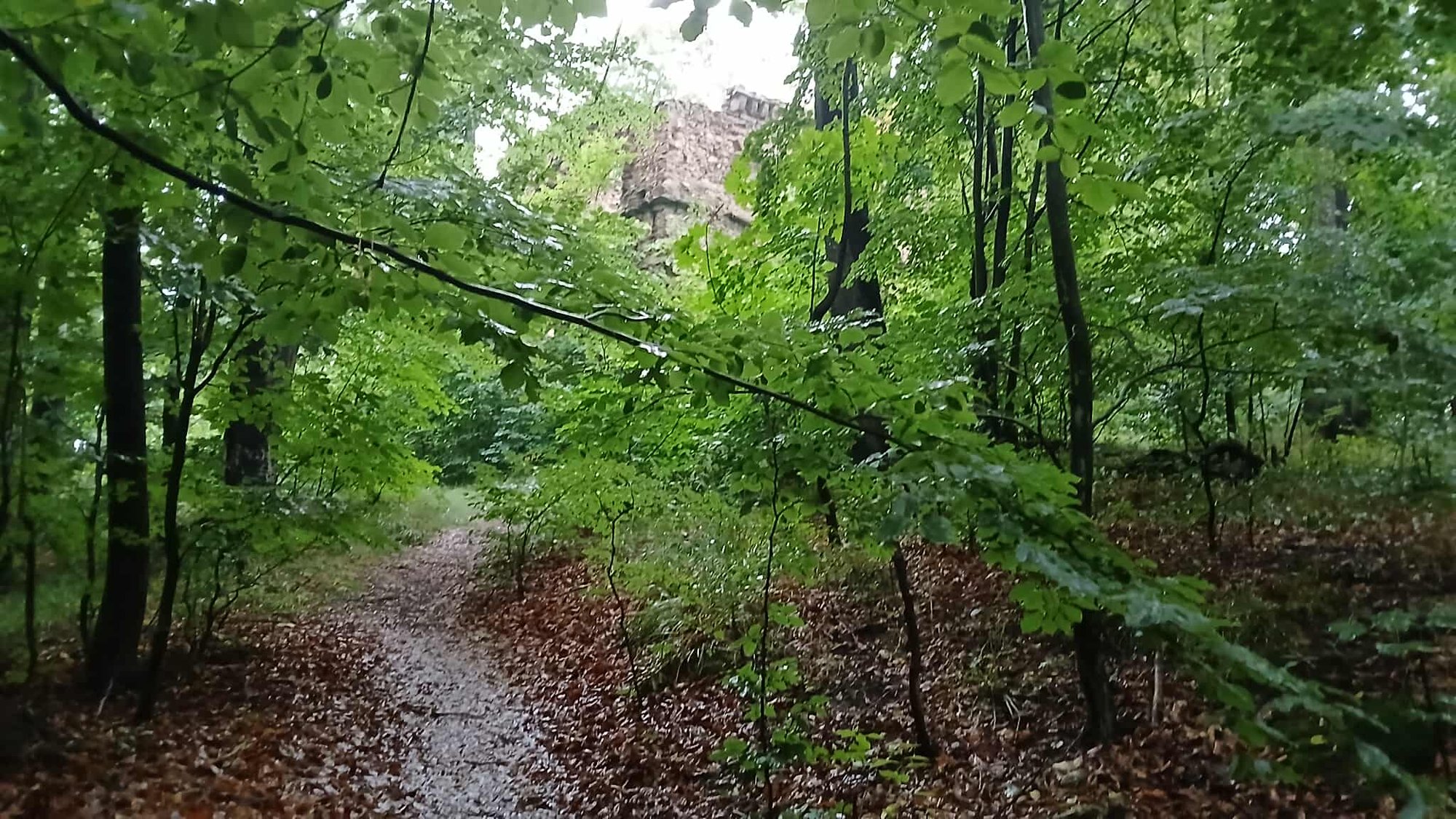 miejsce-schadzek-na-skraju-miasta-wzgorze-radziwiowny-w-kowarach-134266