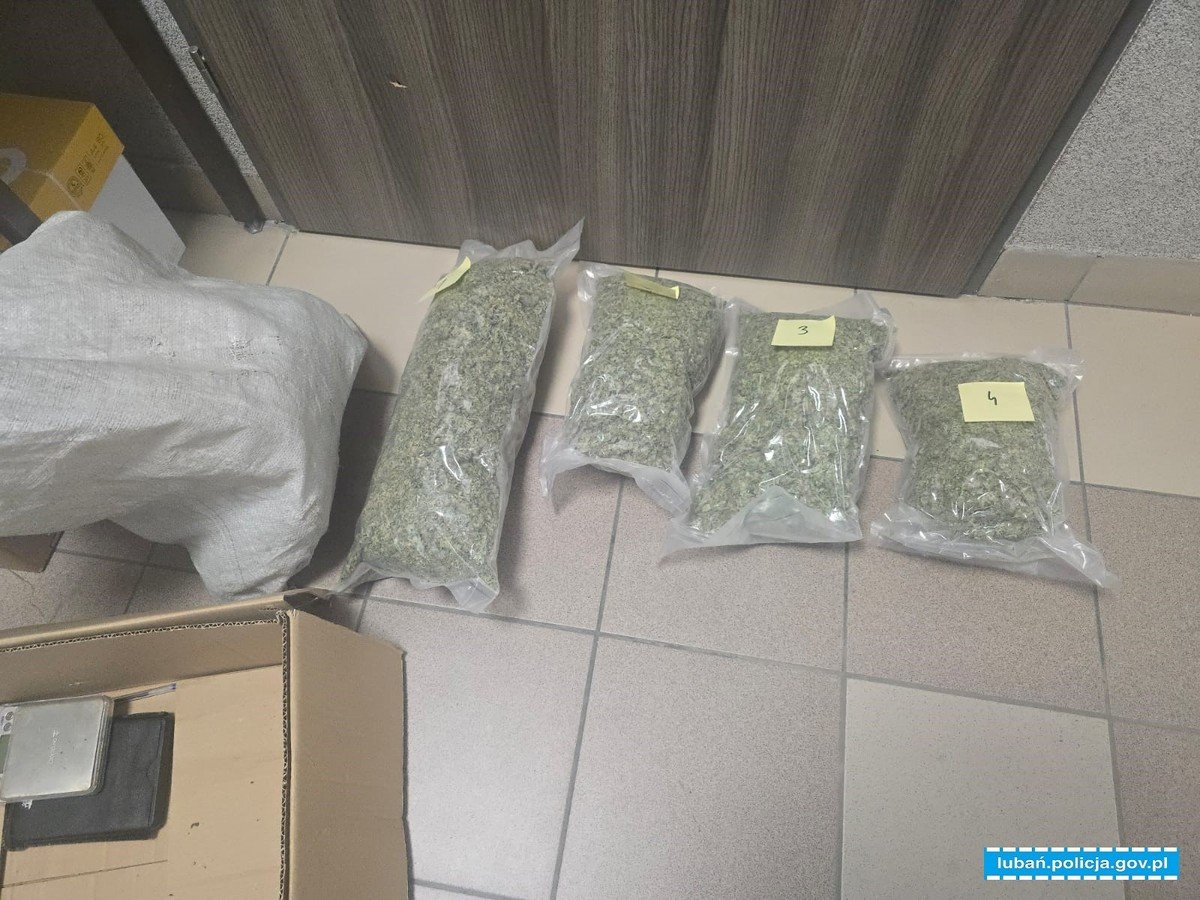 zamiast-ogrodka-sad-i-marihuana-134307
