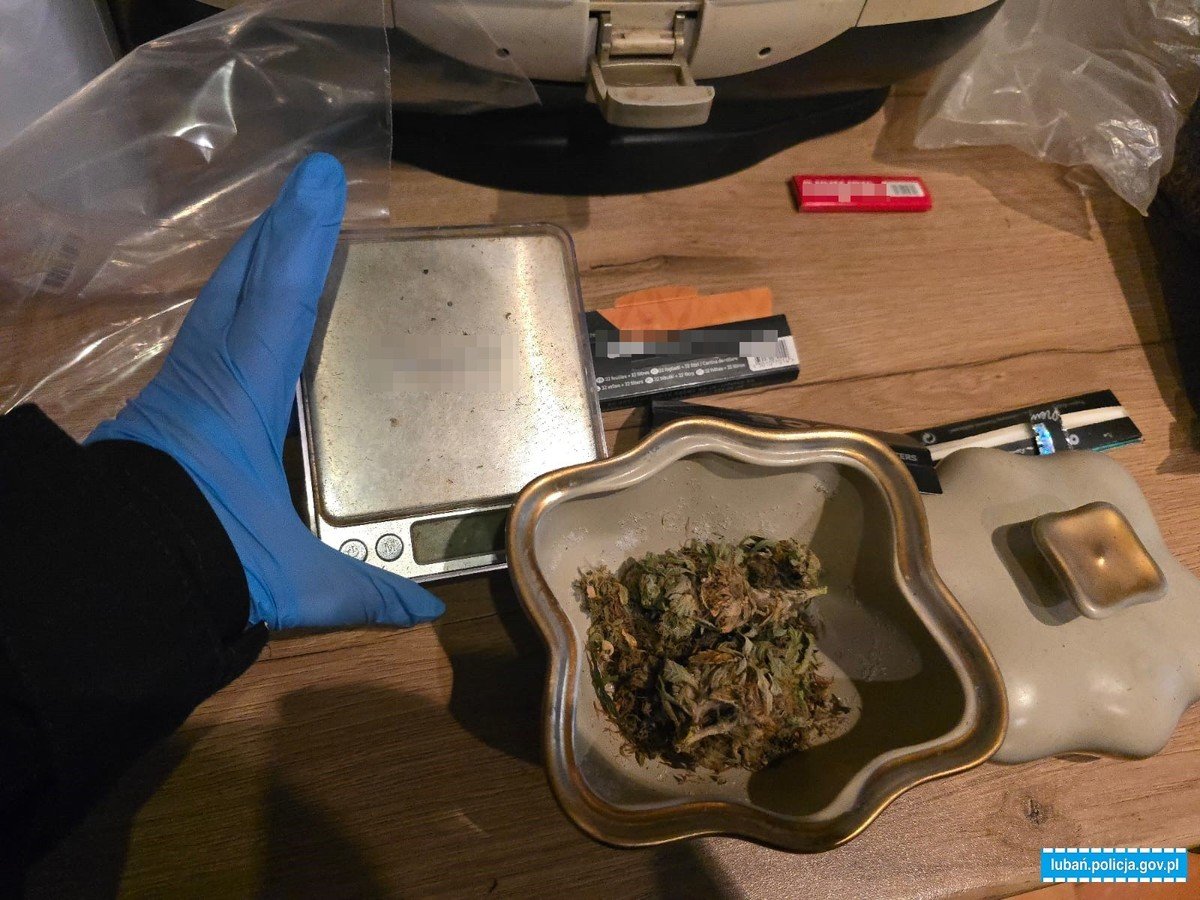 zamiast-ogrodka-sad-i-marihuana-134307
