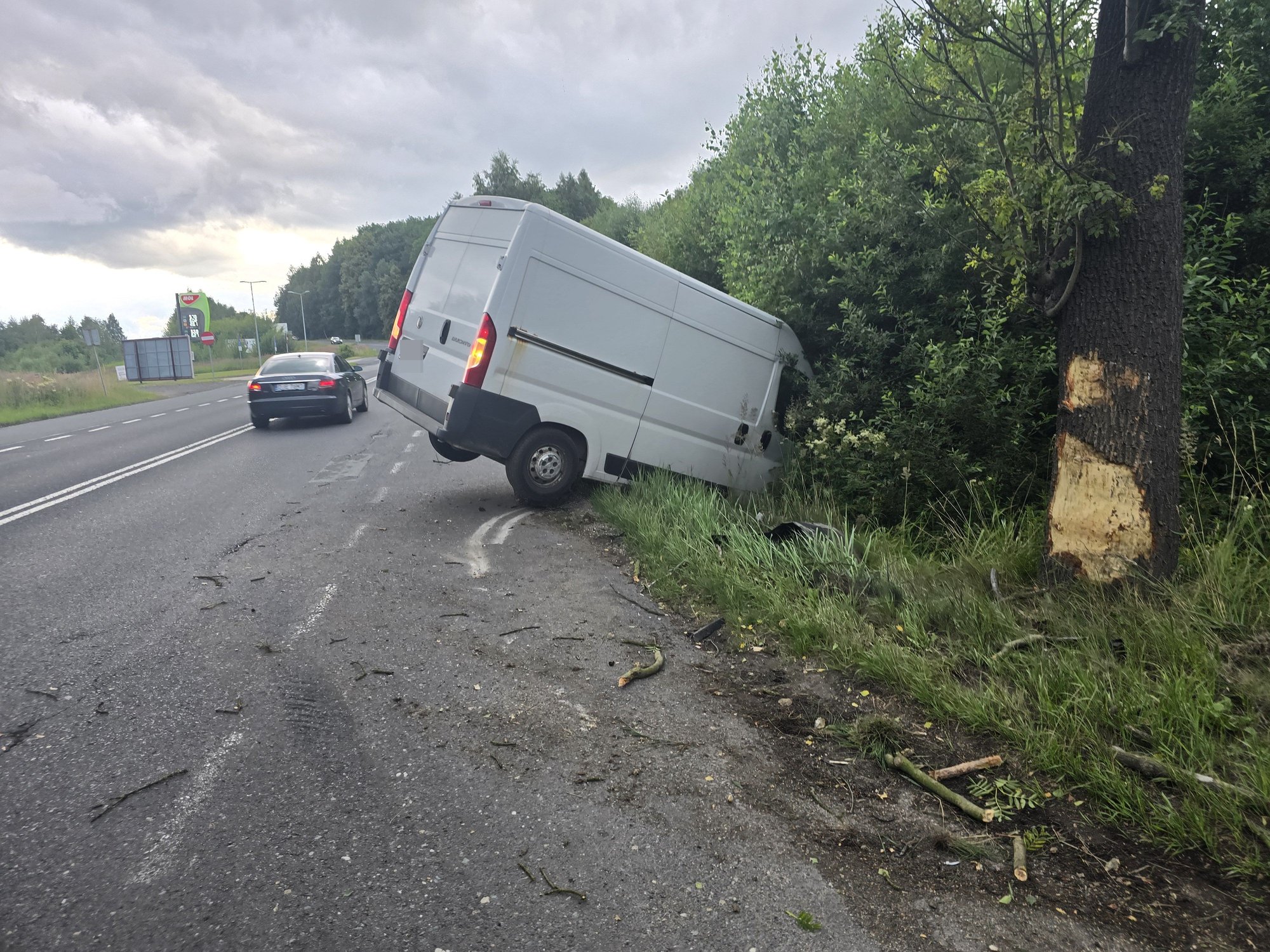 zwierze-wybiego-bus-uderzy-w-drzewo-134385