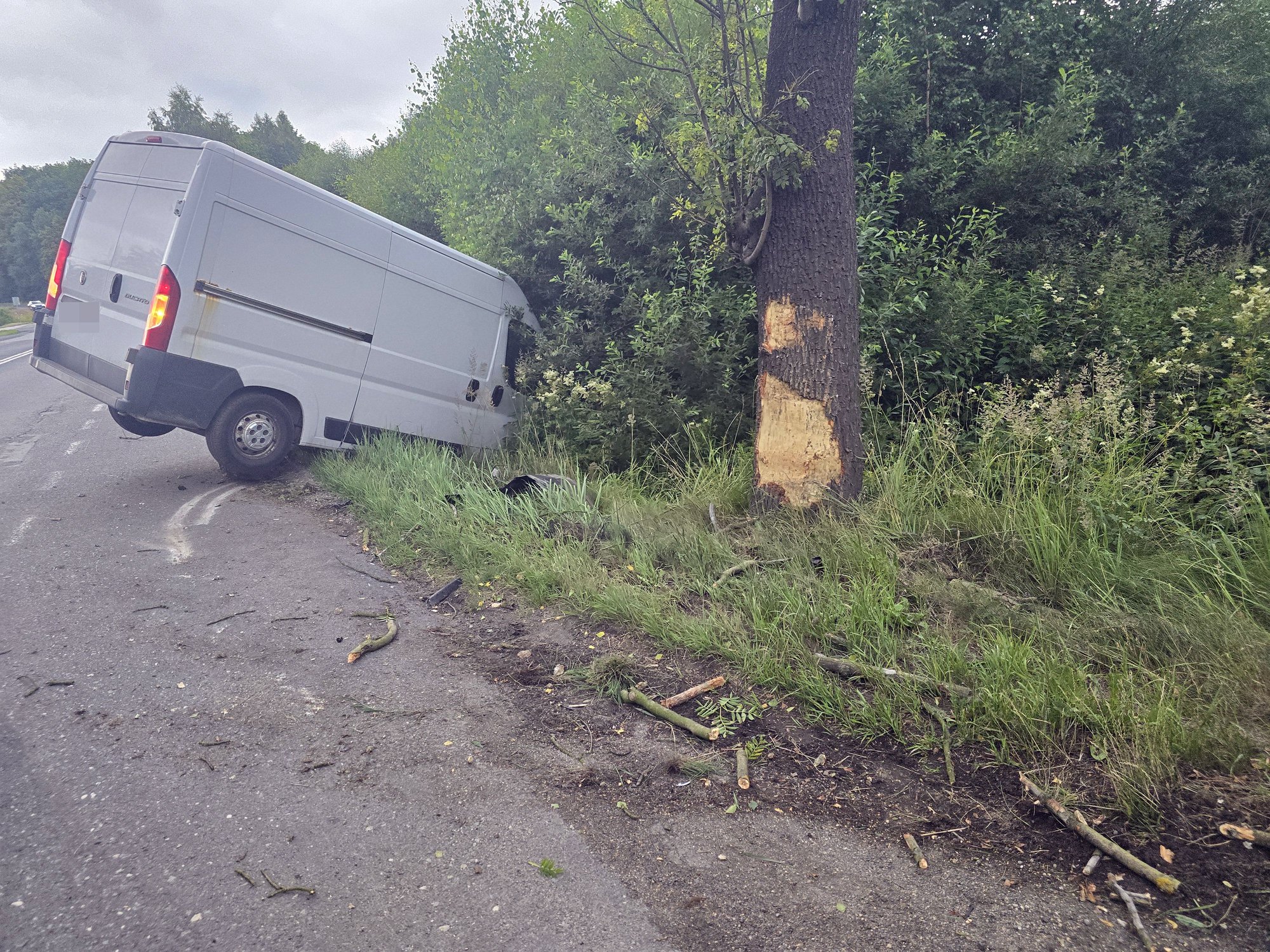 zwierze-wybiego-bus-uderzy-w-drzewo-134385