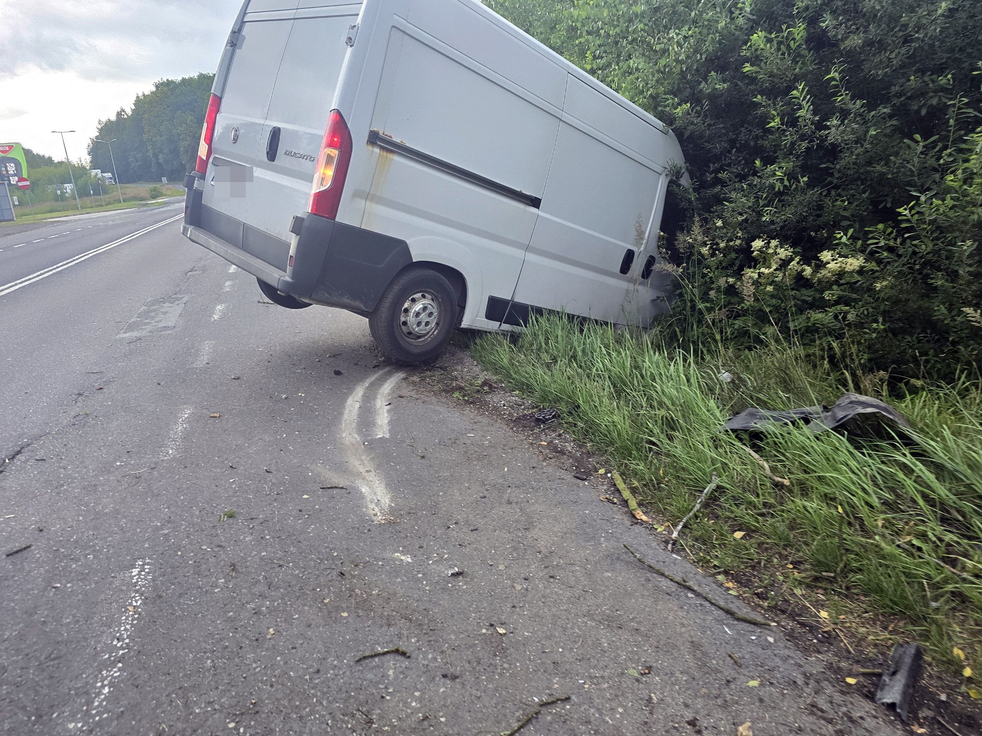 zwierze-wybiego-bus-uderzy-w-drzewo-134385