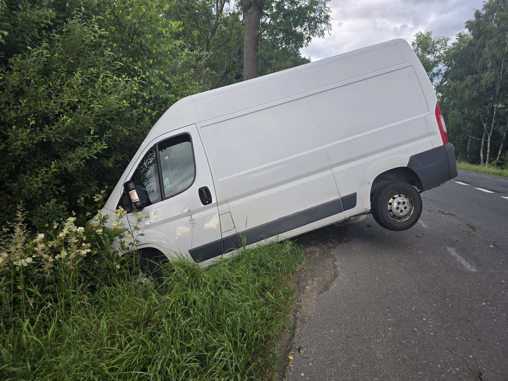 zwierze-wybiego-bus-uderzy-w-drzewo-134385