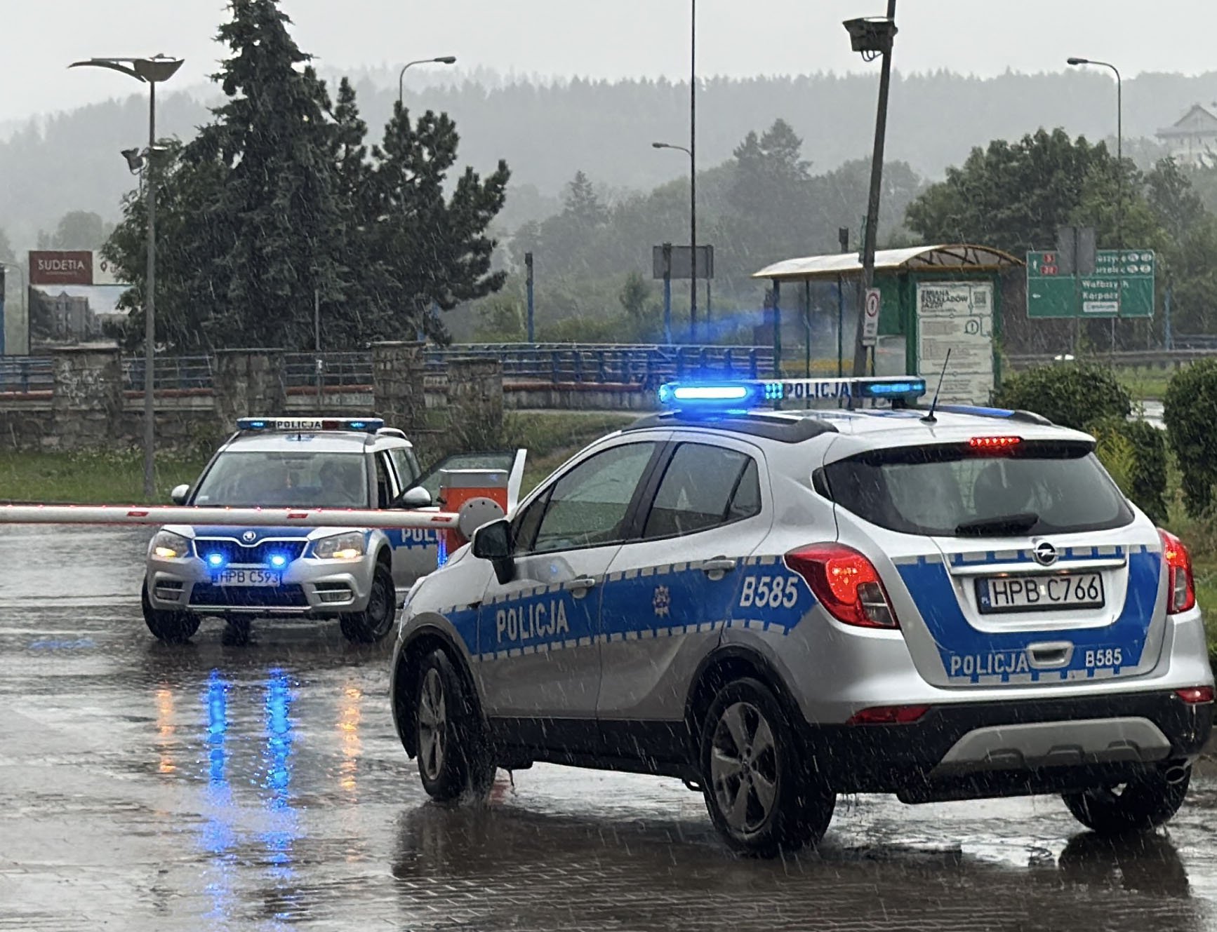 po-co-szli-z-opata-i-siekiera-134552