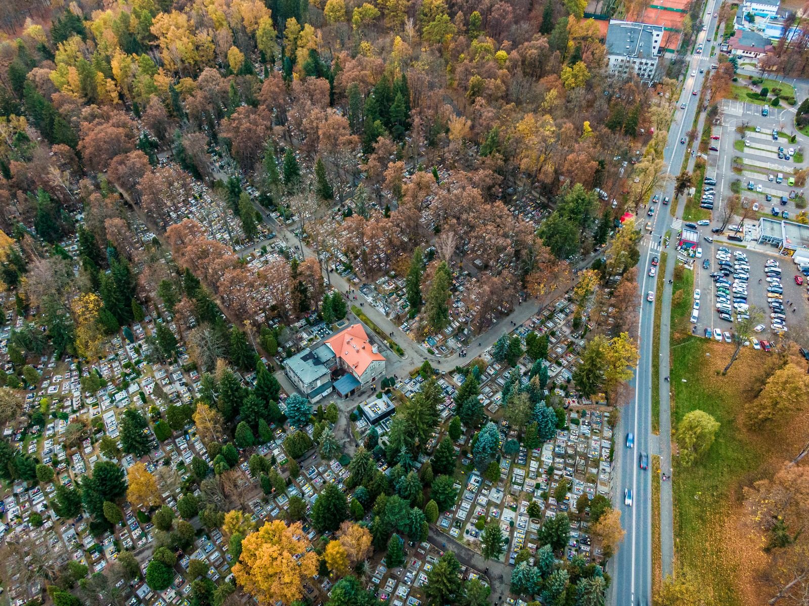 smieci-tylko-do-smietnikow-134554