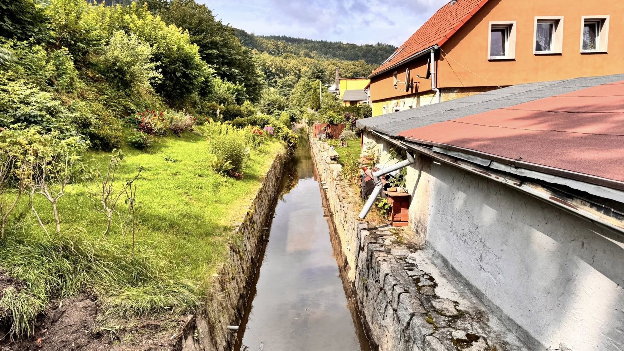 mynowka-bez-smieci-i-gaezi-134560