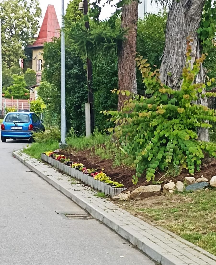 w-piechowicach-dbaja-o-zielen-134662