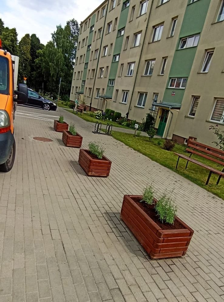 w-piechowicach-dbaja-o-zielen-134662