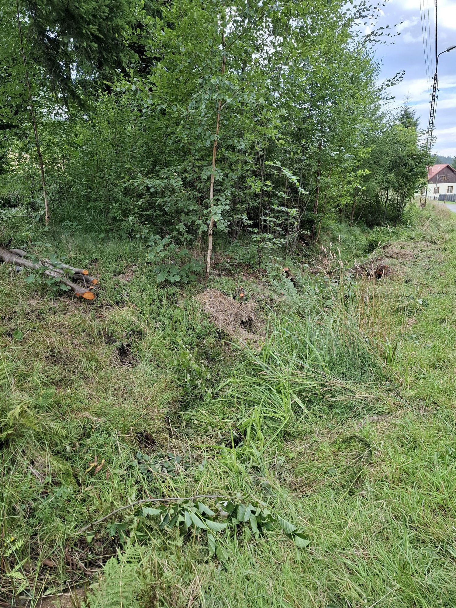 nie-wszystko-widac-od-razu-ale-w-miescie-dzieje-sie-sporo-134755