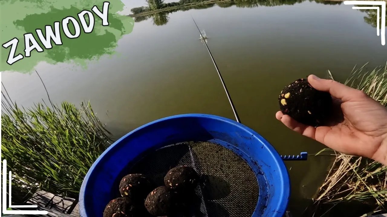 spawikowcy-zjada-nad-balaton-w-jeleniej-gorze-134790