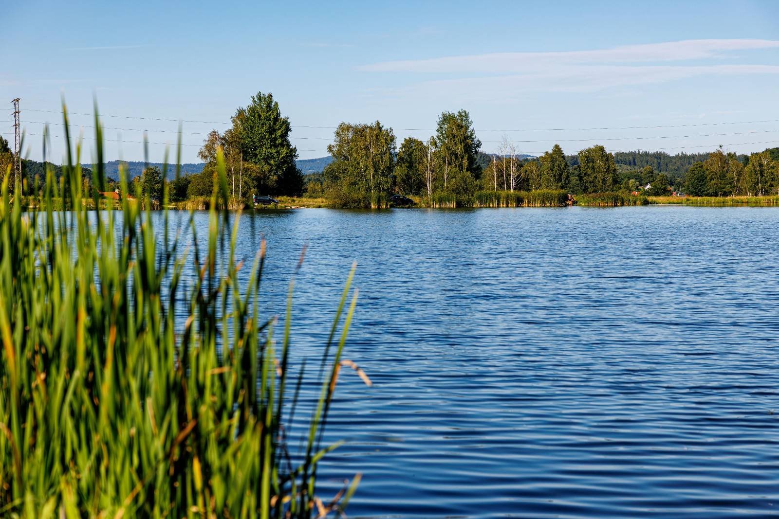 spawikowcy-zjada-nad-balaton-w-jeleniej-gorze-134790