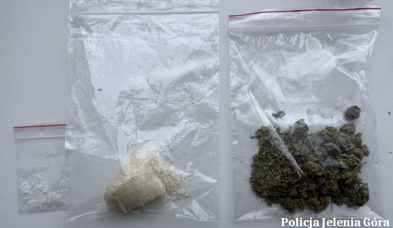 kierowa-wbrew-zakazom-oraz-posiada-narkotyki-za-popenione-czyny-odpowie-przed-sadem-134811