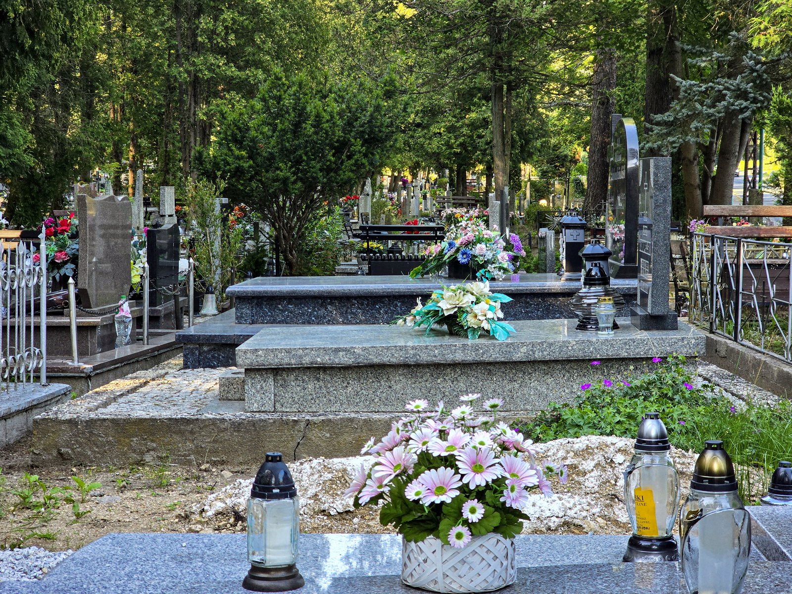 zakaz-sadzenia-krzewow-na-cmentarzach-134828